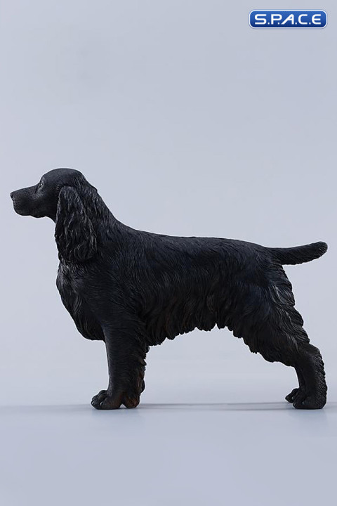 1/6 Scale Cocker Spaniel Version F