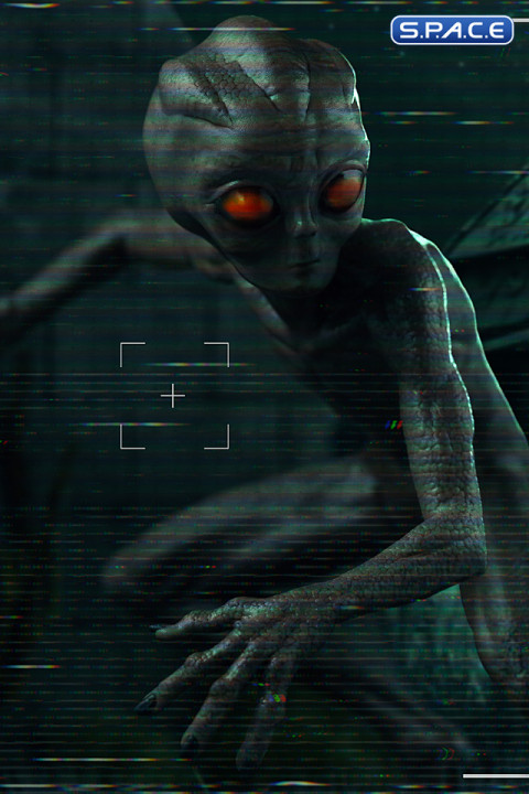 1/10 Scale ET Varginha I Want to Believe Art Scale Statue