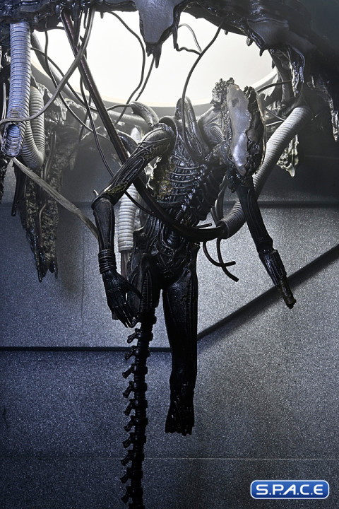 Deluxe Suspended Lab Xenomorph XX121 (Alien: Romulus)