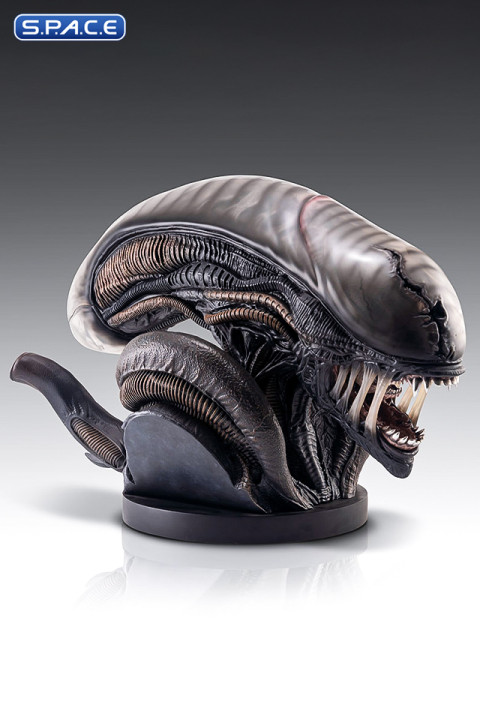 1:1 Xenomorph Life-Size Bust (Alien: Romulus)