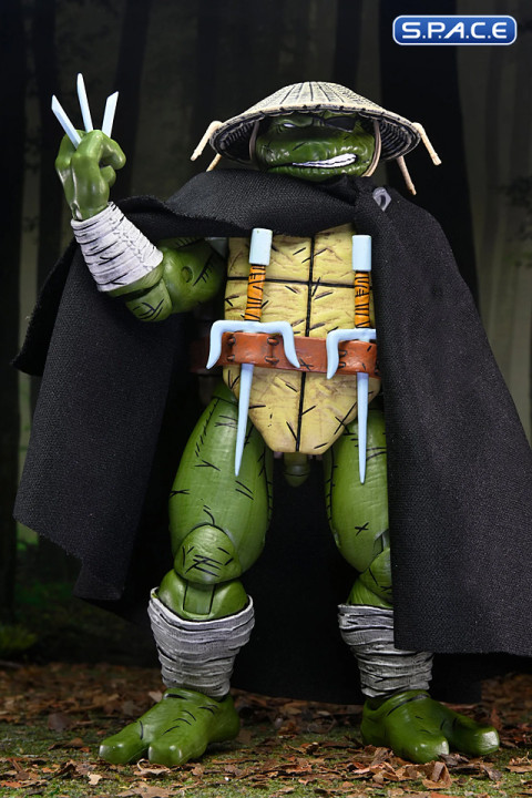 Old Man Raphael (Teenage Mutant Ninja Turtles)