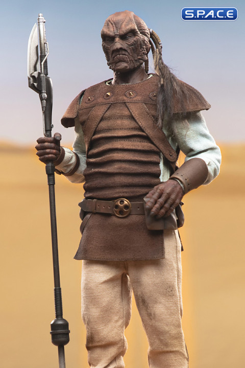 1/6 Scale Pagetti Rook Scum & Villainy (Star Wars)
