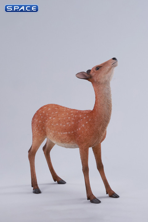 1/6 Scale Nara Deer