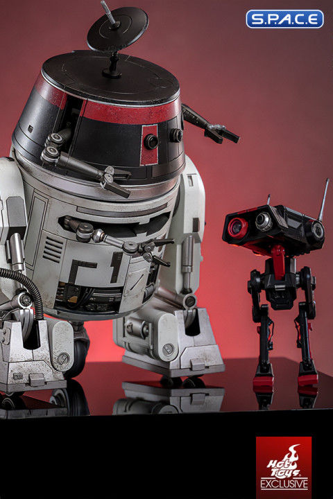 1/6 Scale Chopper C1-10P & BD-1 Imperial Disguise TV Masterpiece Set TMS152 (Star Wars)