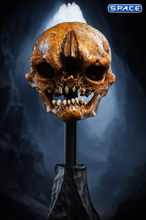 Skull of a Misty Mountain Goblin (The Hobbit)
