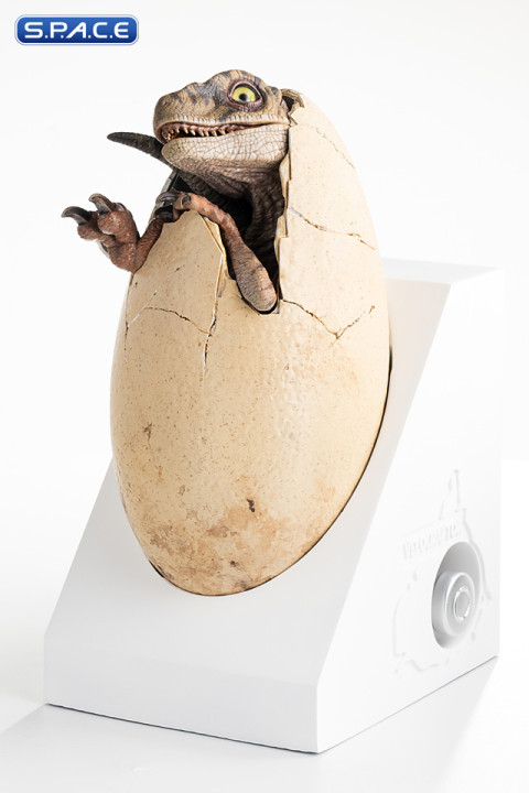 White Queen Egg Hatching Statue (Jurassic Park III)