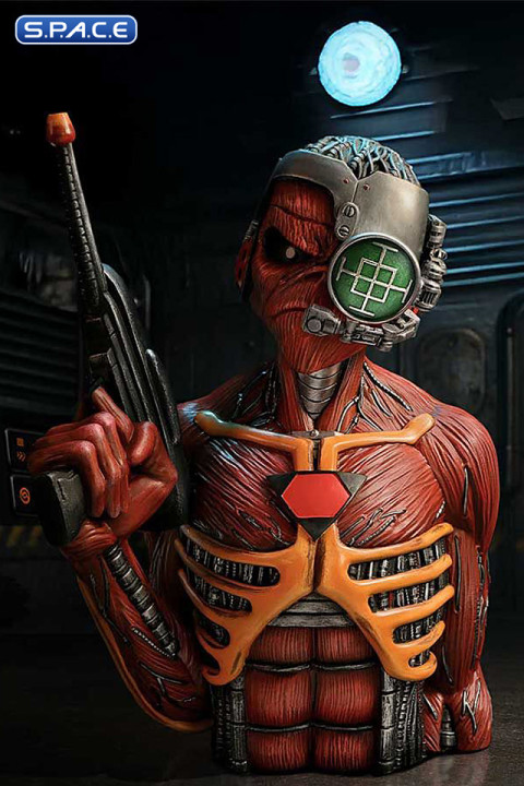 Somewhere in Time Bust (Iron Maiden)