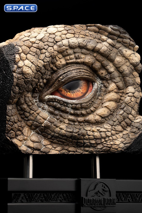 Sick Triceratops Eye Prop Replica (Jurassic Park)