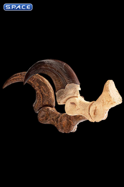 1:1 Velociraptor Foot Claw & Fossil Claw Life-Size Replica Set (Jurassic Park)