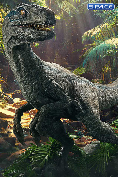 1/2 Scale Blue Legacy Museum Collection Statue - Bonus Version (Jurassic World: Fallen Kingdom)