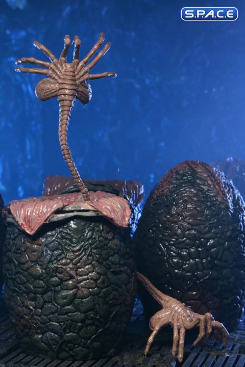 Alien Eggs Accessory Pack - 40th Anniversary Version (Aliens)
