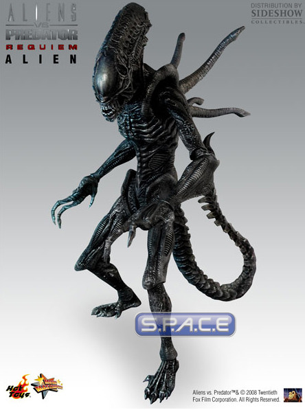 1/6 Scale Alien with Facehugger Model Kit (AvsP: Requiem)