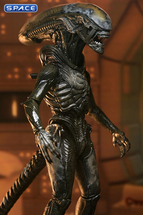 Ultimate Wendys Xenomorph (Alien: Earth)