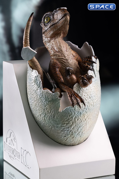 Velociraptor Egg Hatching Statue (Jurassic Park)