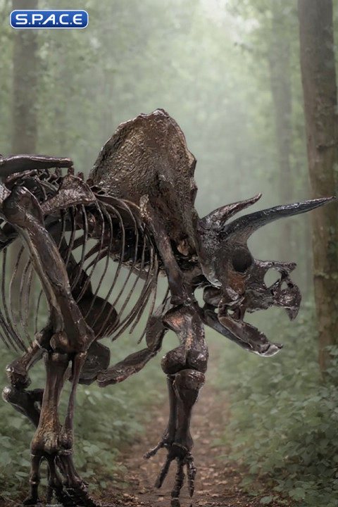 1/24 Scale Triceratops Fossil Skeleton Bronze Statue (Jurassic Park)