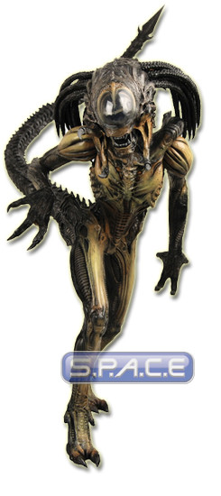 PredAlien Hybrid (AvsP Requiem Series 1)