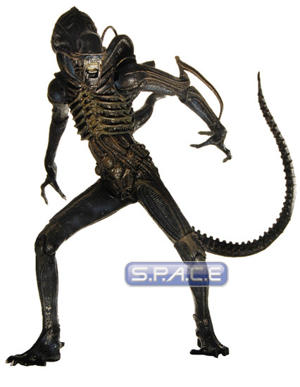 Alien Warrior (Aliens)