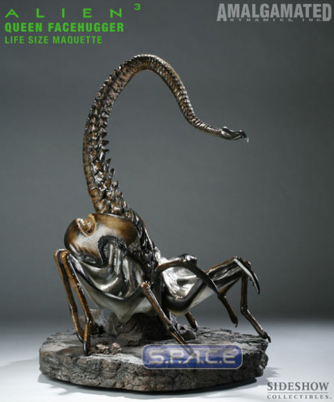 1:1 Queen Facehugger Life-Size Maquette (Alien 3)