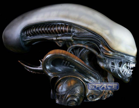 1:1 Alien Life-Size Bust (Alien)