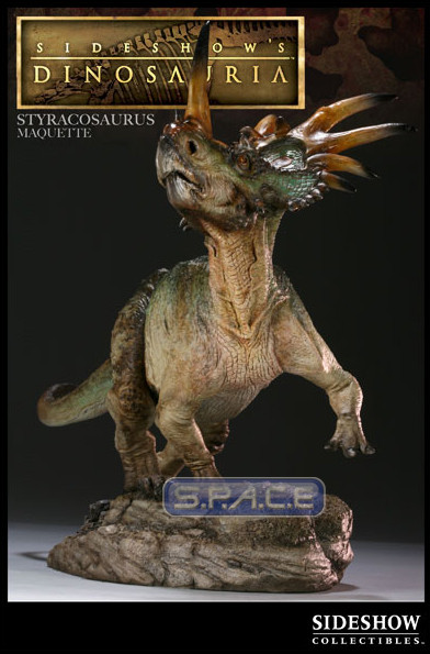 Styracosaurus Maquette (Dinosauria)