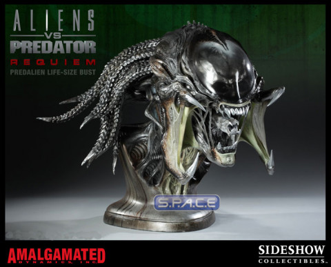 1:1 PredAlien life-size Bust (Aliens vs. Predator: Requiem)