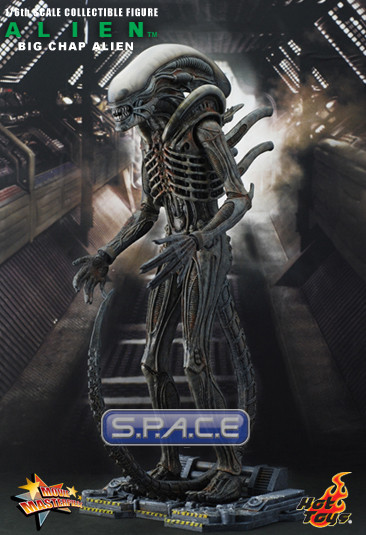 1/6 Scale Alien Big Chap Movie Masterpiece (Alien)