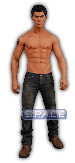 Jacob (Twilight - New Moon Serie 2)