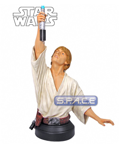 Farm Boy Luke Skywalker Tatooine Bust (Star Wars)