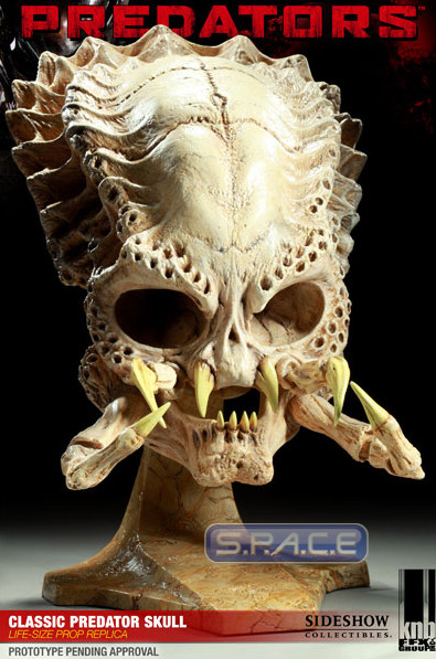 1:1 Classic Predator Skull Life-Size Prop Replica (Predators)