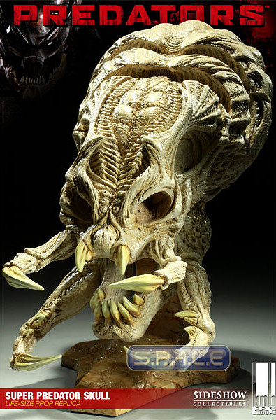 1:1 Super Predator Skull Life-Size Prop Replica (Predators)