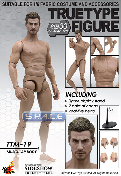 1/6 Scale TrueType Figur Muscular Body TTM19 Caucasian