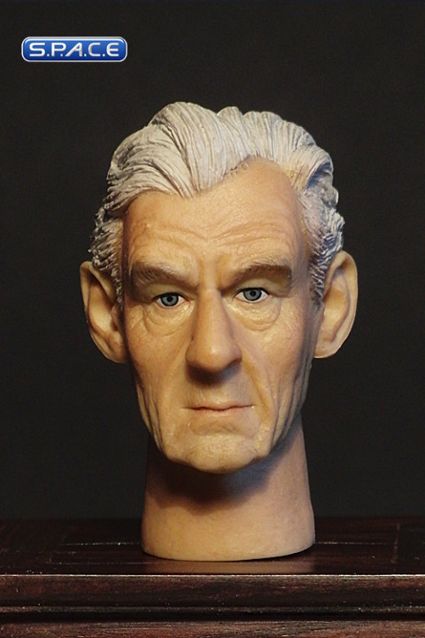 1/6 Scale Ian McKellen Head Sculpt (Head Play)