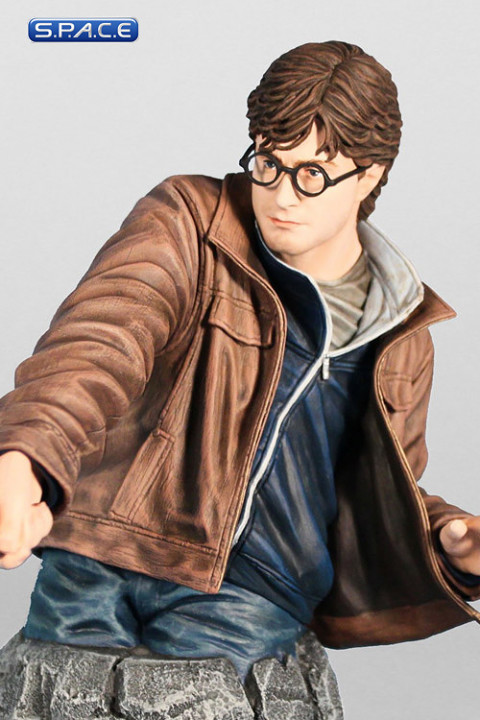 Harry Potter Deathly Hallows Bust (Harry Potter)