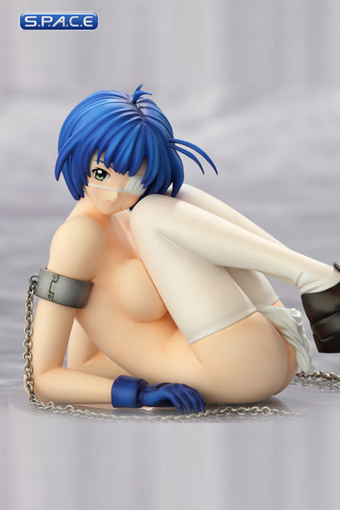 1/7 Scale Ryomou Shimei DVD Back Jacket PVC Statue (Ikki Tousen)