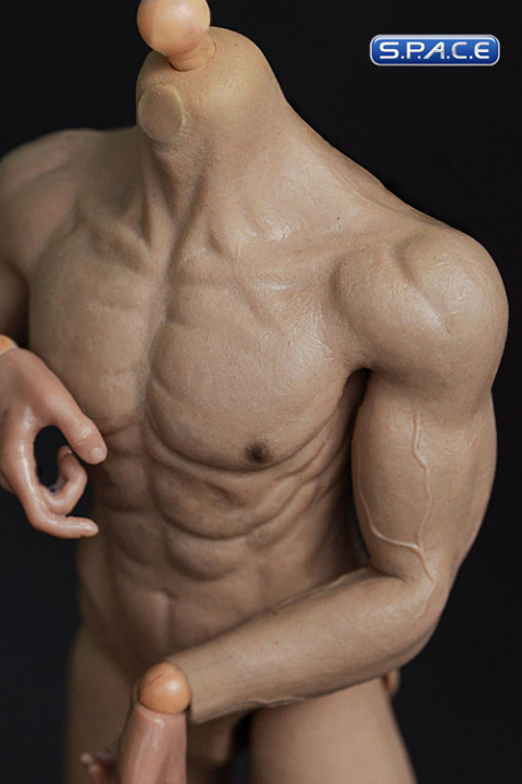 1/6 Scale Muscular Body - HJ002 (White)
