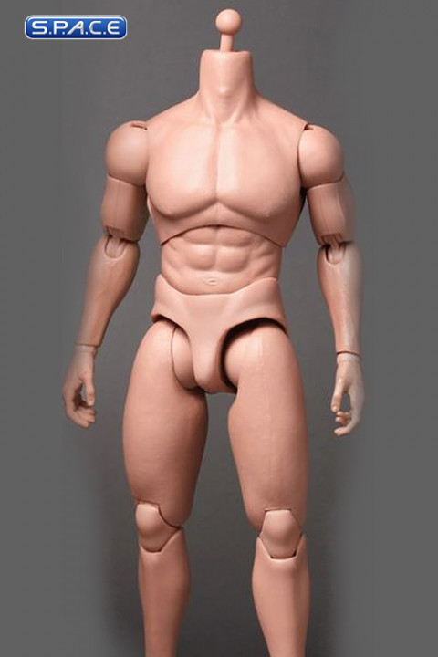 1/6 Scale TrueType Figure Advanced Muscular Body TTM20