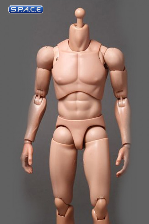 1/6 Scale TrueType Figure Regular Body TTM21