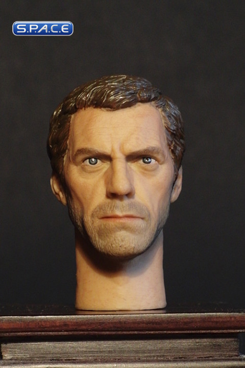 1/6 Scale Hugh Laurie Head Sculpt (Head Play)