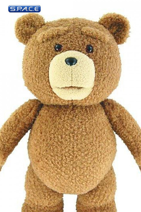 24 Talking Ted Plush Rated R (ted)