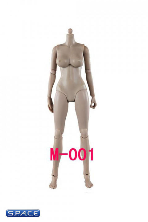 1/6 Scale Female Body M-001 (middle breast)