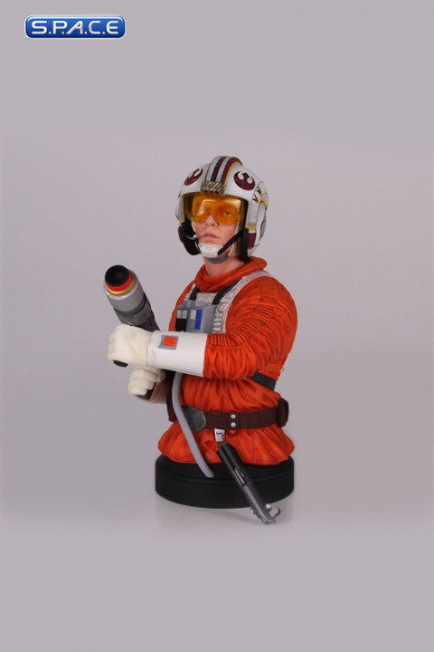 Luke Snowspeeder Pilot Deluxe Bust (Star Wars)