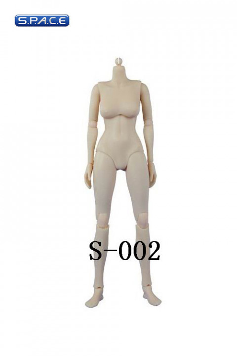 1/6 Scale Asian Female Body S-002 (small breast)