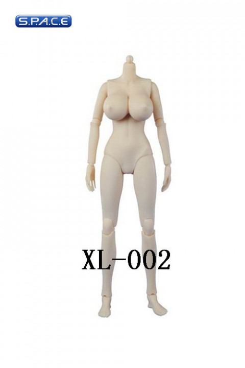 1/6 Scale Asian Female Body XL-002 (extra-large breast)