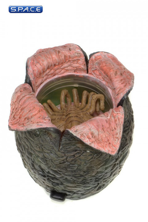 Xenomorph Egg & Facehugger (Aliens)
