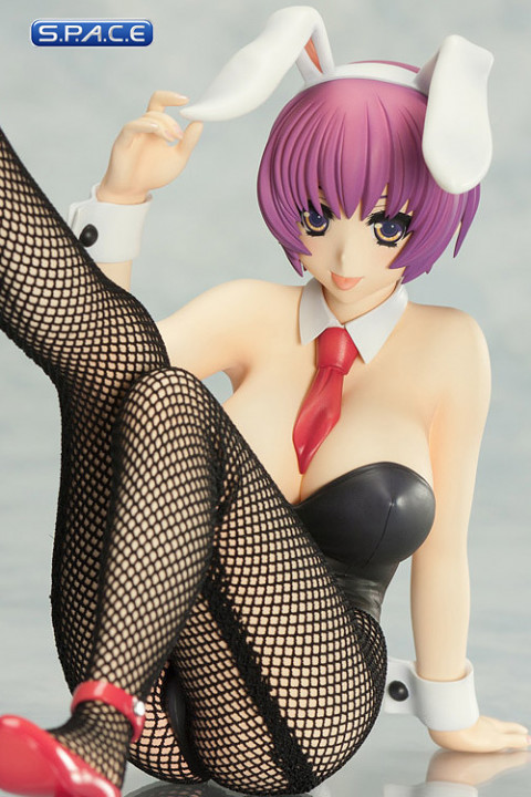 1/7 Scale Rare Selection Winter 2010 Minori Aiba PVC Statue (Venus Idol Project)