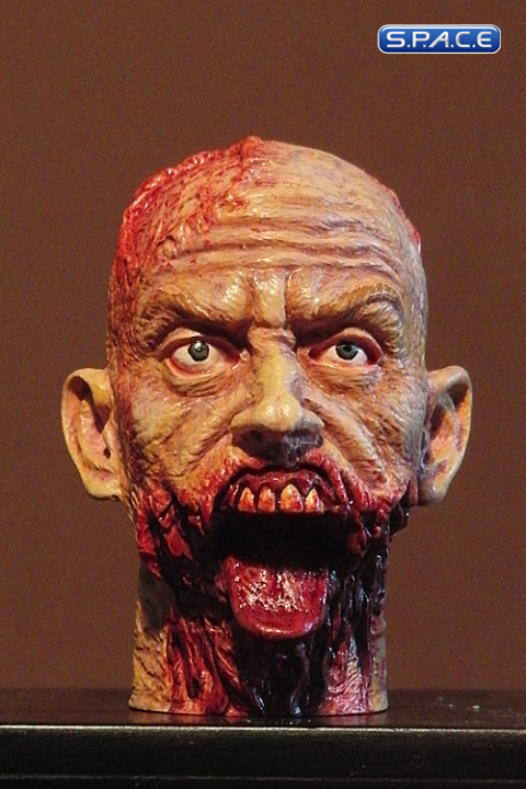 1/6 Scale Zombie Head Clint (professional paint)