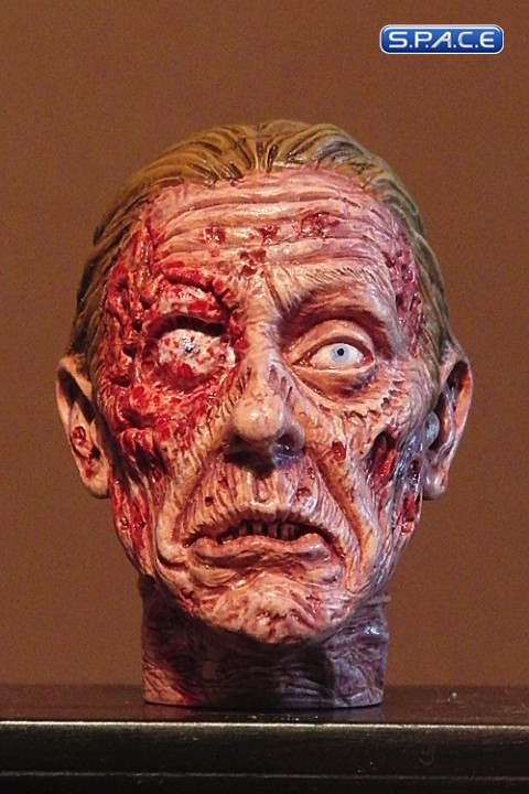 1/6 Scale Zombie Head Johnny (professional paint)