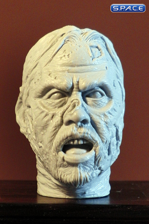 1/6 Scale Zombie Head Migge (unpainted)