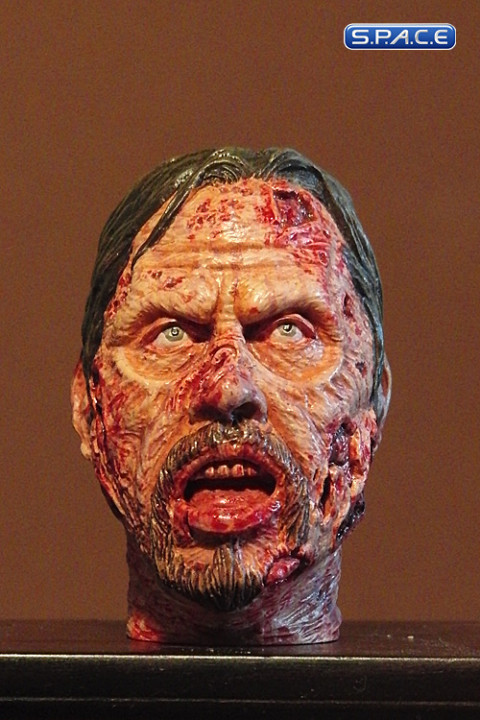 1/6 Scale Zombie Head Migge (professional paint)