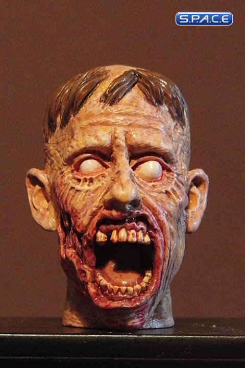 1/6 Scale Zombie Head Ronnie (professional paint)